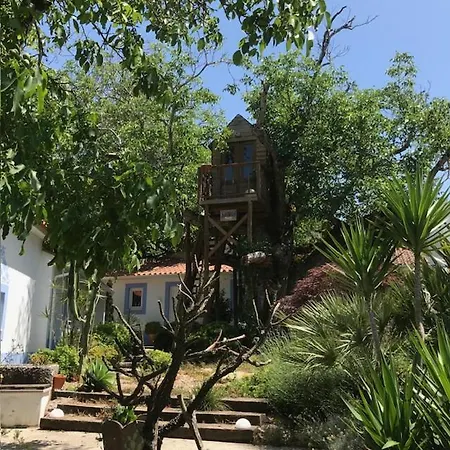 Casa Oliva - Casa Da Serra Порту-ди-Мош