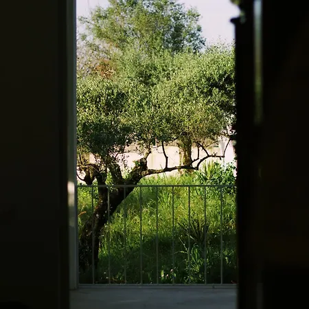 Casa Oliva - Casa Da Serra Апартаменты