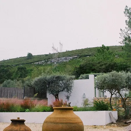 Апартаменты Casa Oliva - Casa Da Serra