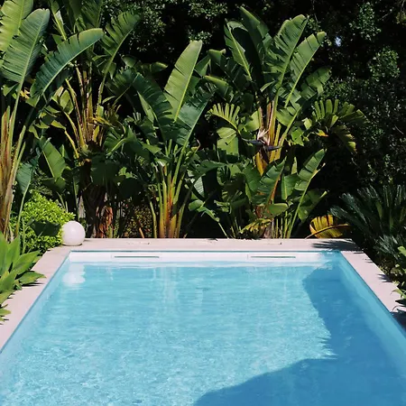 Apartamento Casa Oliva - Casa Da Serra *