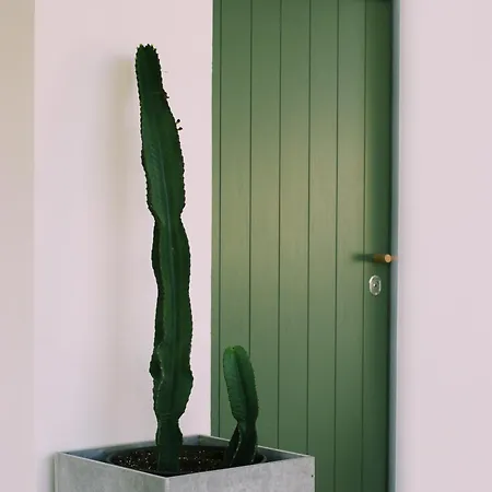 Apartament Casa Oliva - Casa Da Serra *