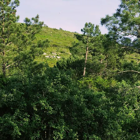 Apartamento Casa Oliva - Casa Da Serra *