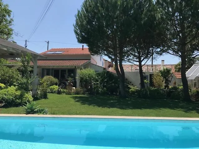Appartement Casa Oliva - Casa Da Serra Porto de Mós