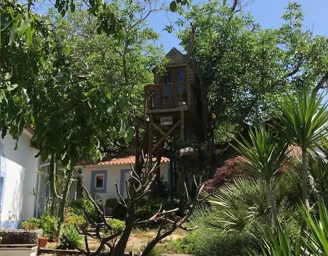 Casa Oliva - Casa Da Serra Porto de Mós