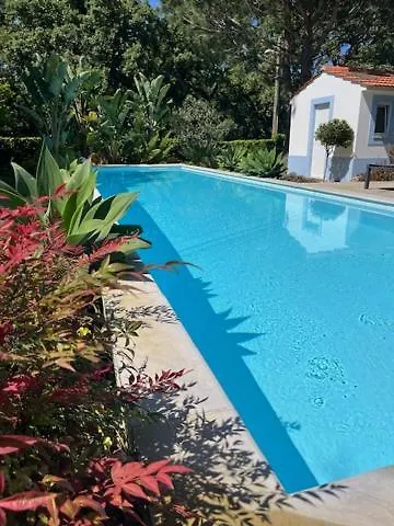 Casa Oliva - Casa Da Serra * Porto de Mós