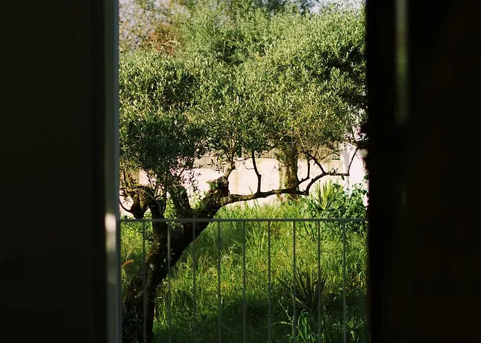 Casa Oliva - Casa Da Serra Apartamento