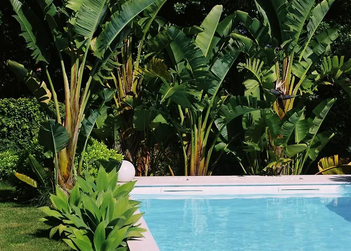 Casa Oliva - Casa Da Serra Apartamento