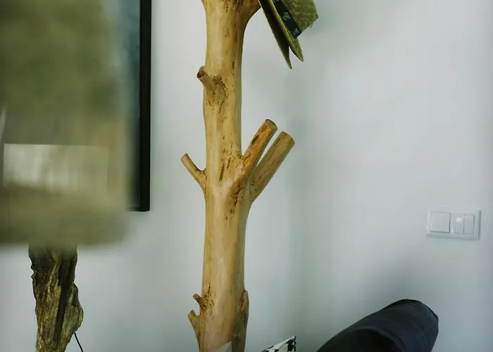 Casa Oliva - Casa Da Serra