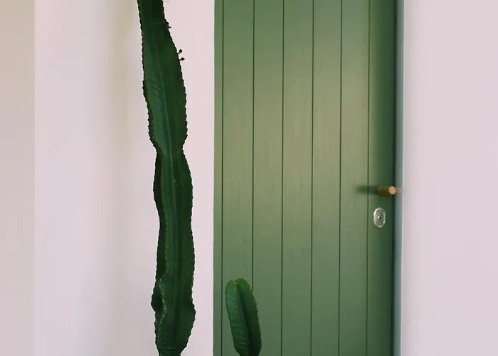 Apartamento Casa Oliva - Casa Da Serra *