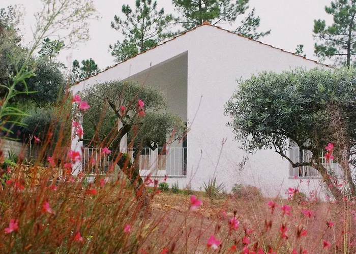 Casa Oliva - Casa Da Serra