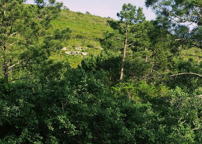 Apartamento Casa Oliva - Casa Da Serra *